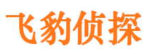 淄川市侦探调查公司